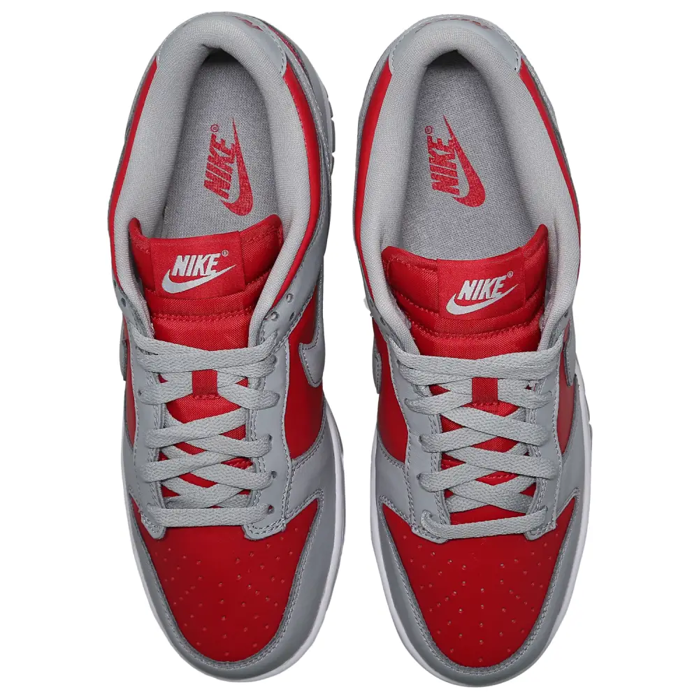 Nike Dunk Low  Men 