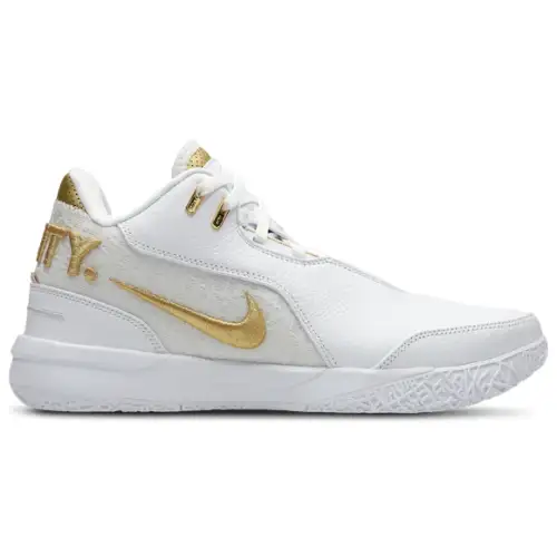 Nike Zoom Lebron Nxxt Gen  Men E55449
