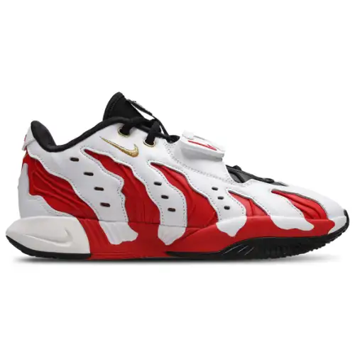 Nike Lebron XXII  Men