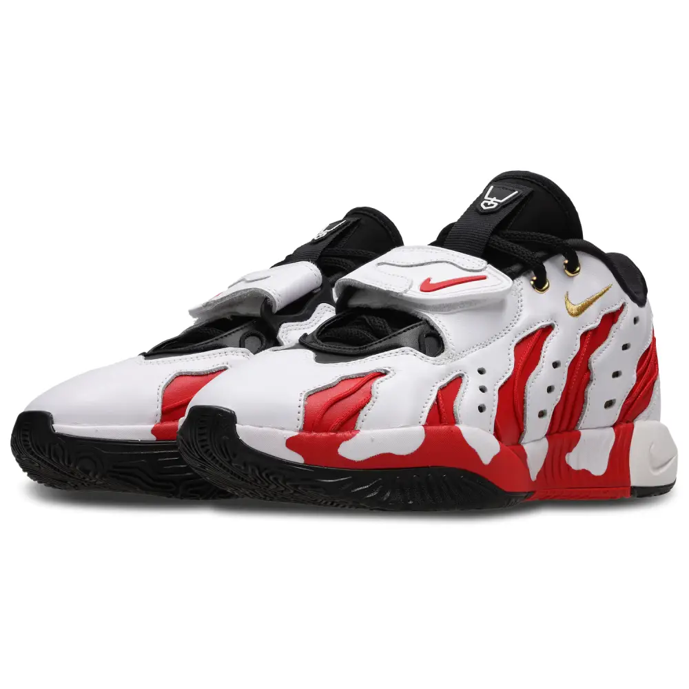 Nike Lebron XXII  Men 