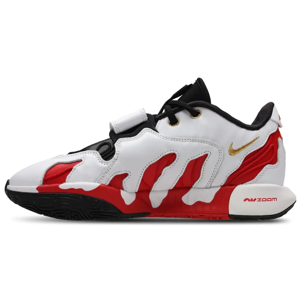 Nike Lebron XXII  Men 