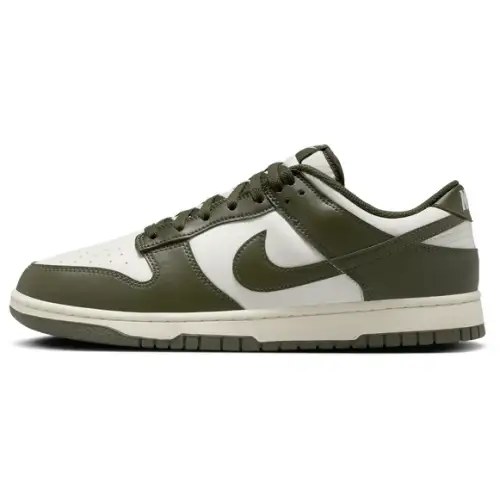 Nike Dunk Low Retro Men