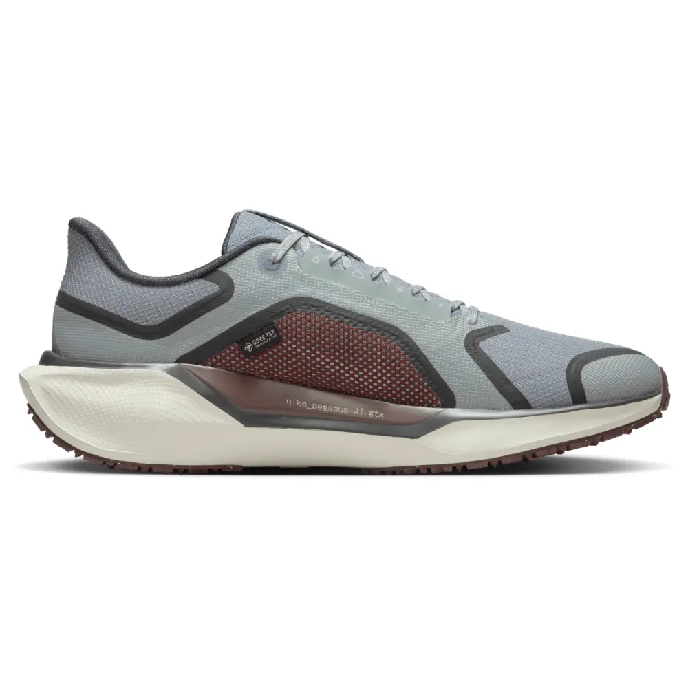 Nike Pegasus 41  Women 