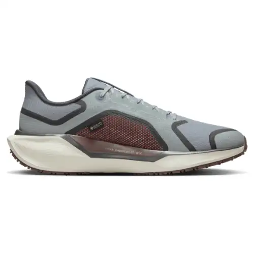Nike Pegasus 41  Men