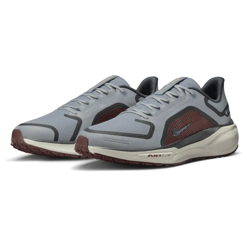 Nike Pegasus 41  Women 