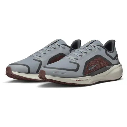 Nike Pegasus 41  Men 