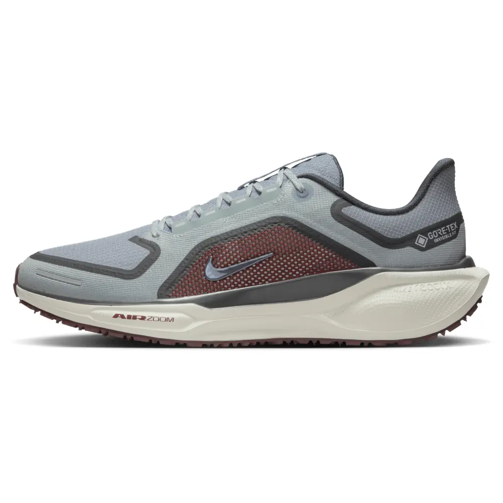 Nike Pegasus 41  Women 