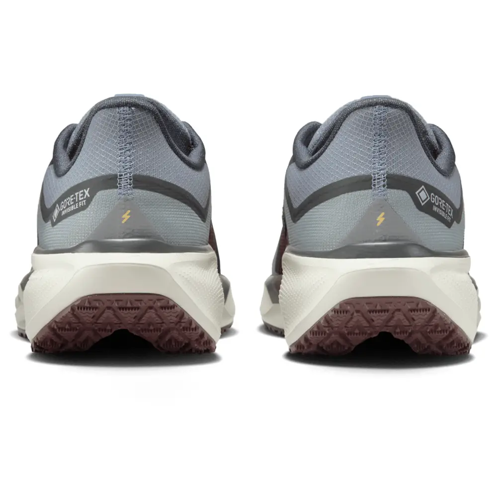 Nike Pegasus 41  Women 