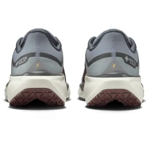 Nike Pegasus 41  Men 