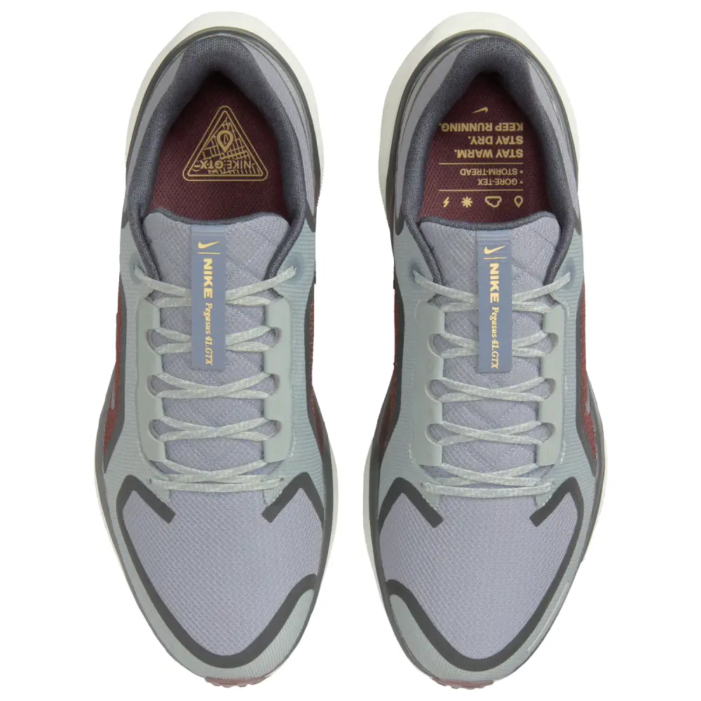 Nike Pegasus 41  Women 