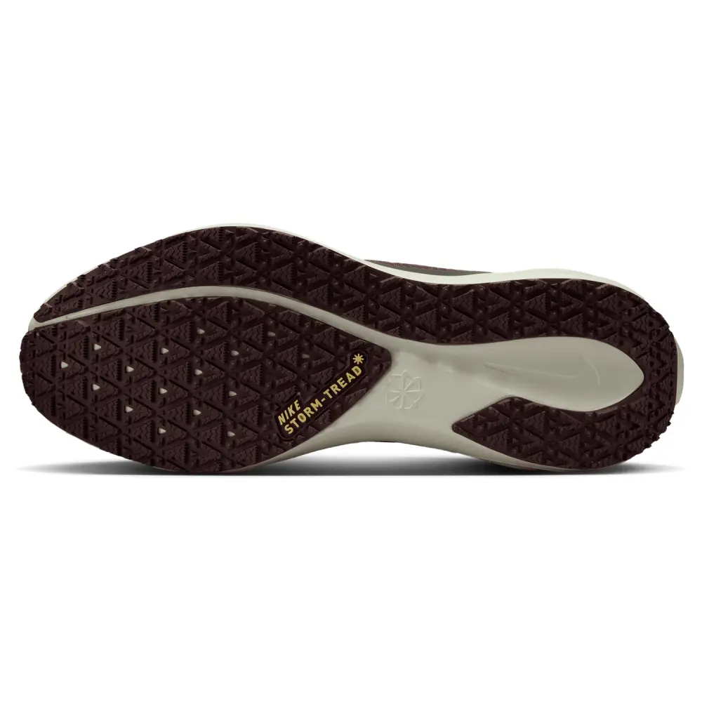 Nike Pegasus 41  Women 