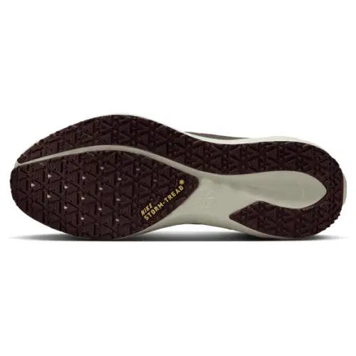 Nike Pegasus 41  Men 