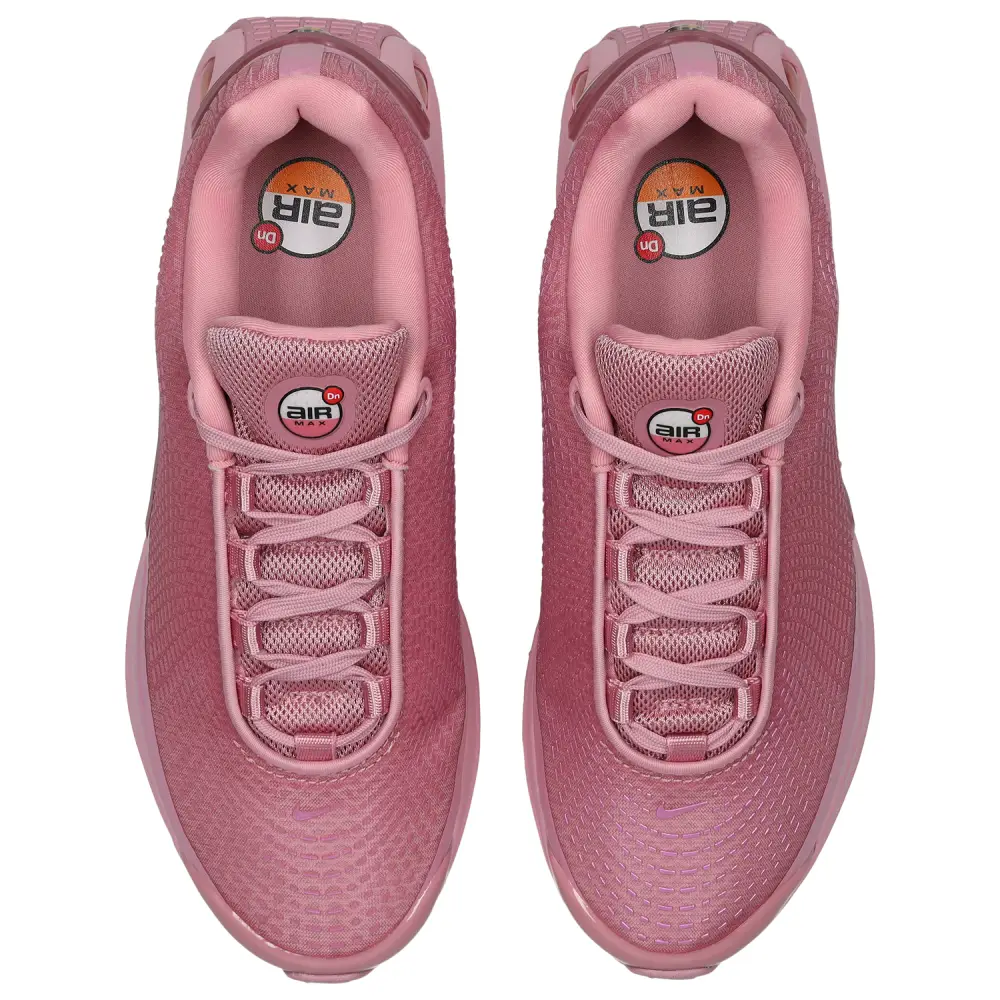 Nike Air Max Dn  Women 