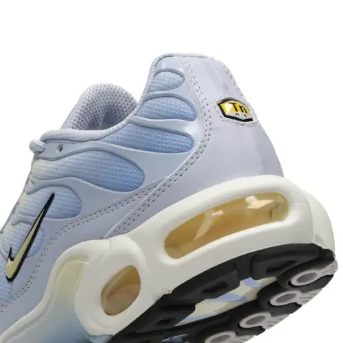 Nike Air Max Plus Body Fade  Women 
