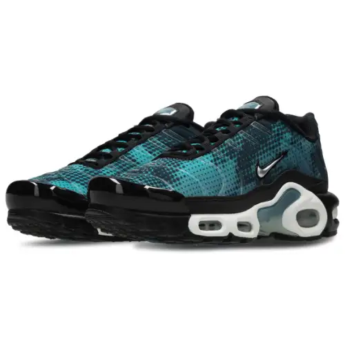 Nike Air Max Plus Fl  Women 