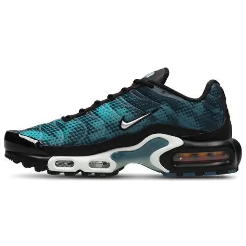 Nike Air Max Plus Fl  Women 