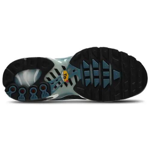 Nike Air Max Plus Fl  Women 