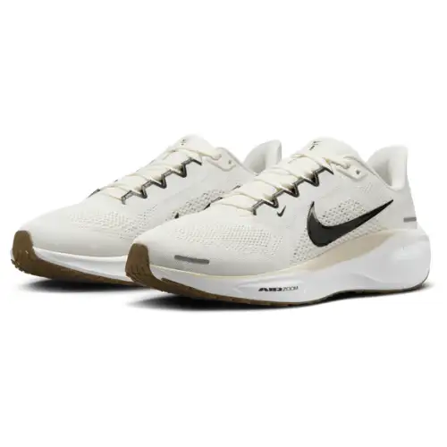 Nike Pegasus 41  Women 