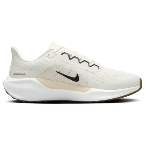 Nike Pegasus 41  Women