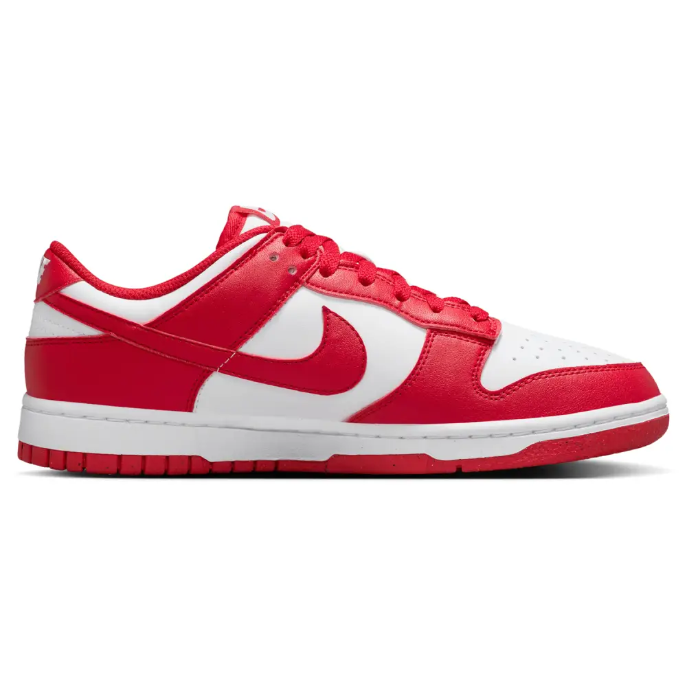 Nike Dunk Low Retro  Men 