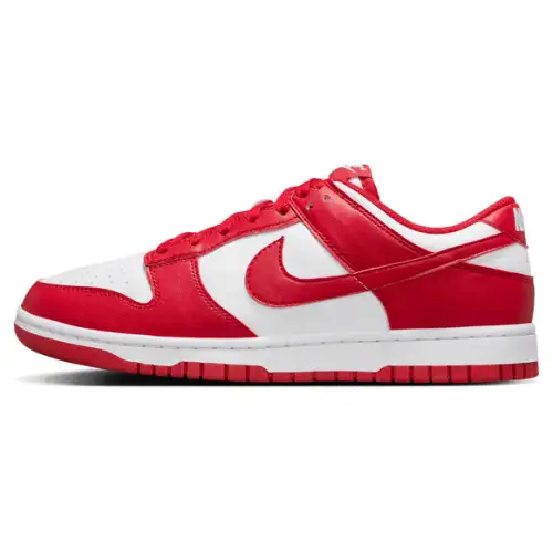 Nike Dunk Low Next Nature Women