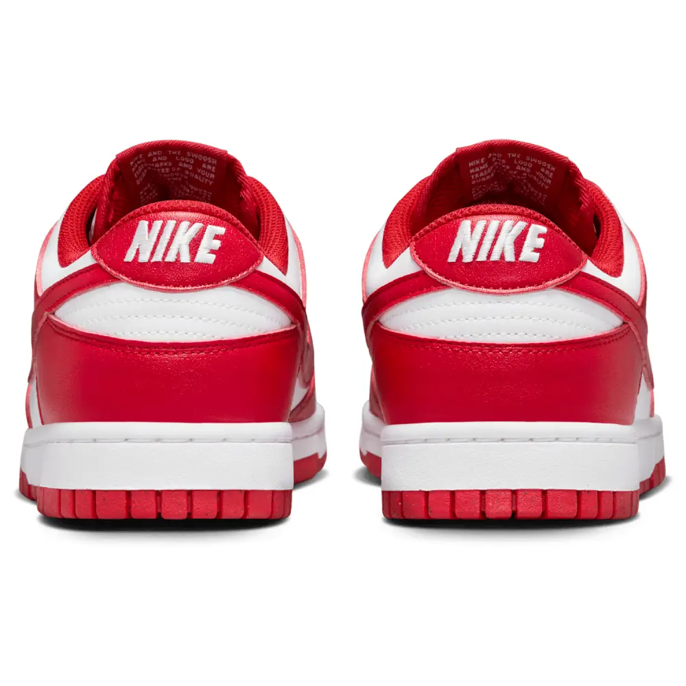 Nike Dunk Low Retro  Men 