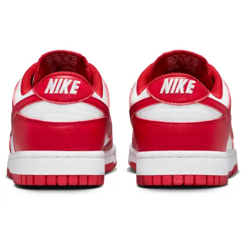 Nike Dunk Low Next Nature Women