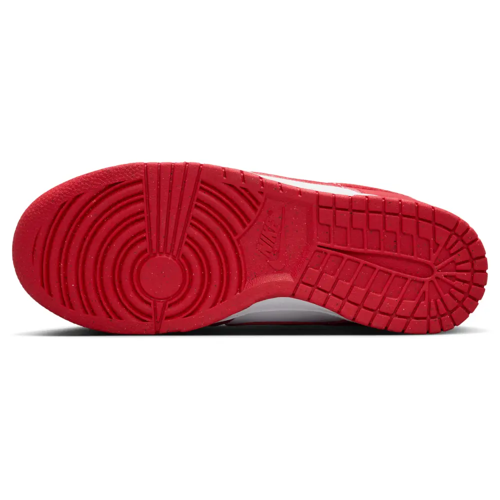 Nike Dunk Low Retro  Men 