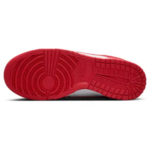 Nike Dunk Low Next Nature Women